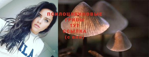 ECSTASY Белокуриха
