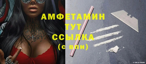 шишки Костерёво