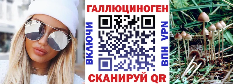 Галлюциногенные грибы Magic Shrooms  MEGA ONION  Гай  как найти закладки 
