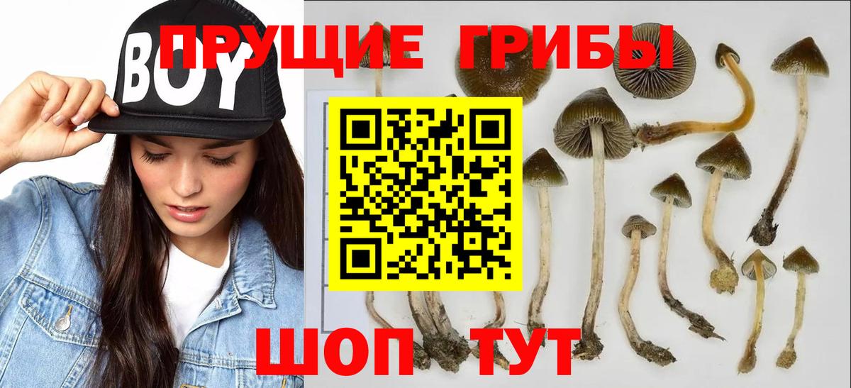 Галлюциногенные грибы ЛСД Гай