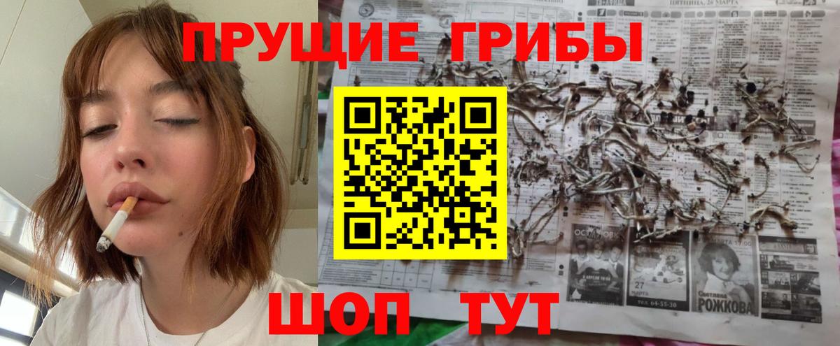 Гай  Галлюциногенные грибы Cubensis  Вход с VPN  Галлюциногенные грибы мухоморы 